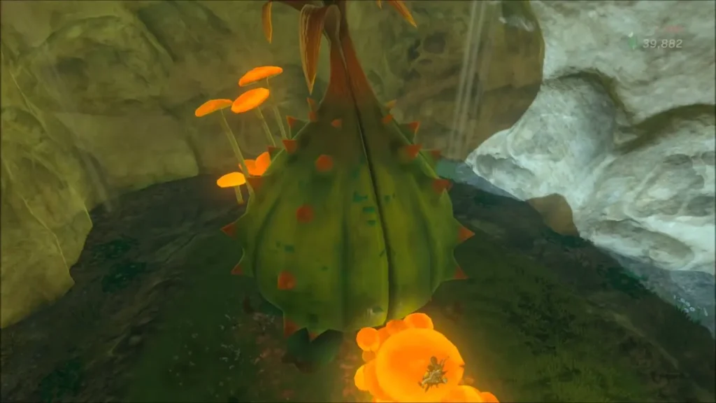 The large spiny bud beside the spring, ringed by glowing orange blooms The large spiny bud beside the spring, ringed by glowing orange blooms