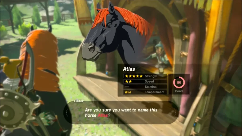Padok asking to confirm the name Atlas for the new horse Padok asking to confirm the name Atlas for the new horse