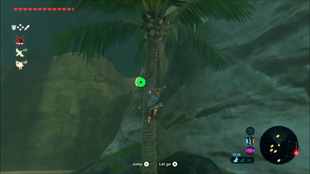 Link climbing a palm tree beside the water Link climbing a palm tree beside the water