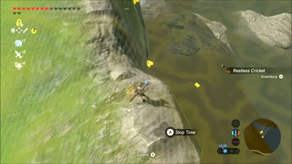 Link stopping time to grab a Restless Cricket on a grassy slope Link stopping time to grab a Restless Cricket on a grassy slope