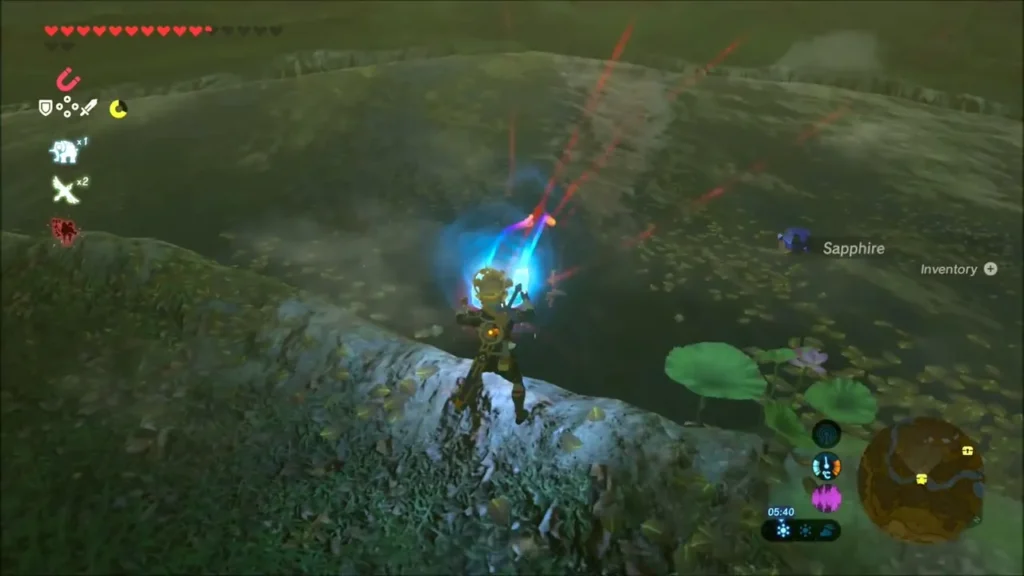 Link on the bank of a lily pond with a Sapphire glinting in the water Link on the bank of a lily pond with a Sapphire glinting in the water