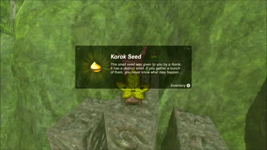 Korok on the stones with the Korok Seed box Korok on the stones with the Korok Seed box