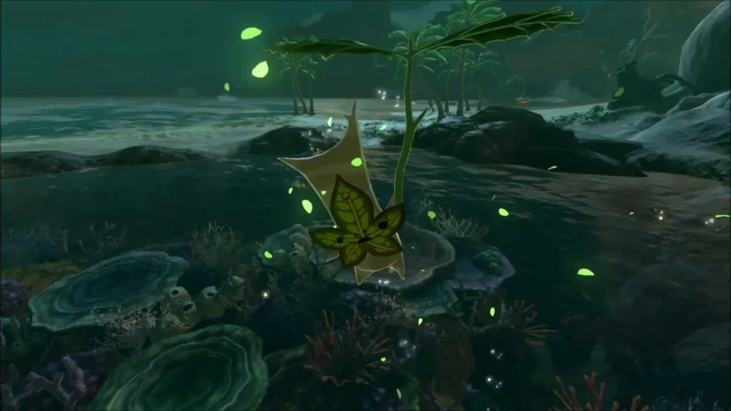 A Korok hiding on the seabed among coral under shallow water A Korok hiding on the seabed among coral under shallow water