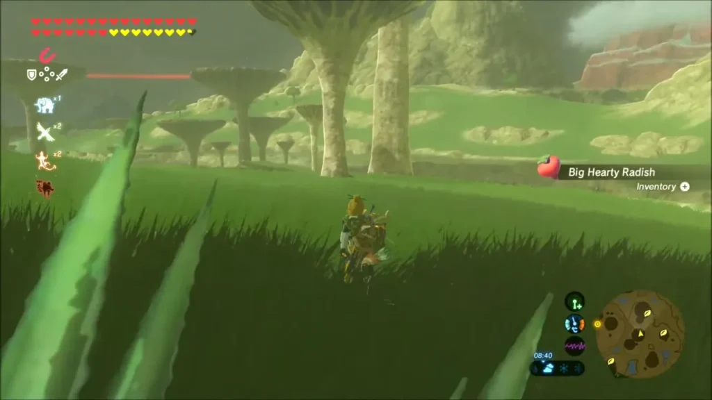 Link picking up a Big Hearty Radish in the tall grass Link picking up a Big Hearty Radish in the tall grass