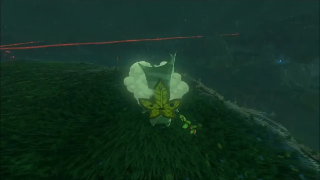Korok waiting in the grass on a hilltop Korok waiting in the grass on a hilltop