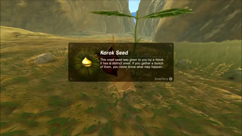 The Korok seed received after completing the stone ring The Korok seed received after completing the stone ring