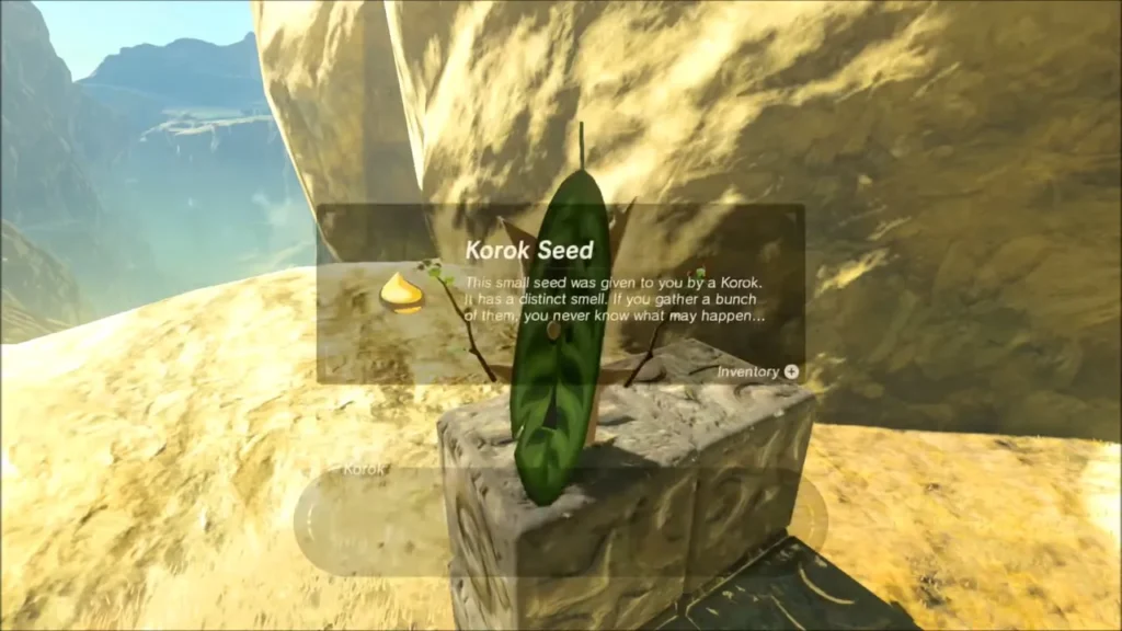 The Korok seed received at the stone block The Korok seed received at the stone block