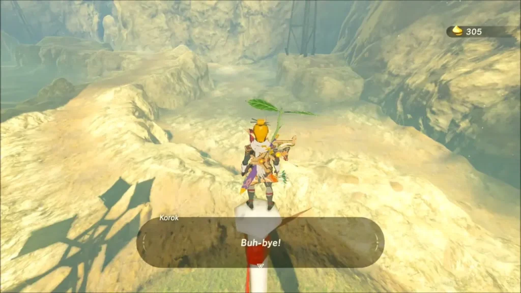 Link standing on the ridge holding the Korok seed after the Korok leaves Link standing on the ridge holding the Korok seed after the Korok leaves