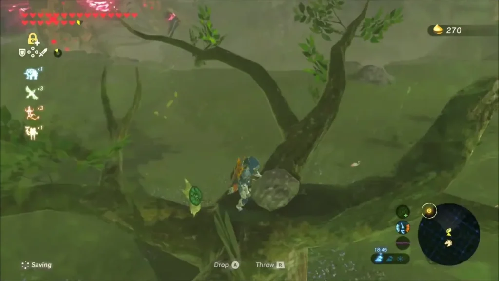 Link beside a Korok on a tree branch after lifting the rock Link beside a Korok on a tree branch after lifting the rock