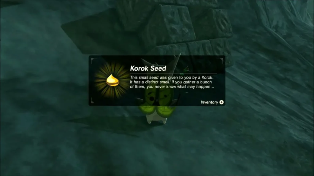 Korok seed given by a Korok hiding beneath stone blocks Korok seed given by a Korok hiding beneath stone blocks