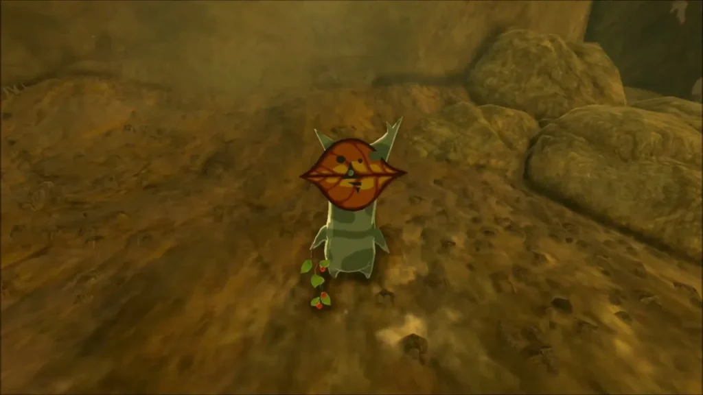 The Korok revealed where the slab floated away The Korok revealed where the slab floated away