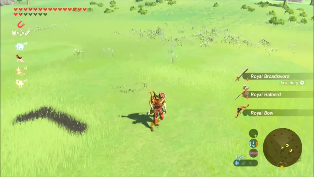 Link picking up a Royal Broadsword from the grass Link picking up a Royal Broadsword from the grass