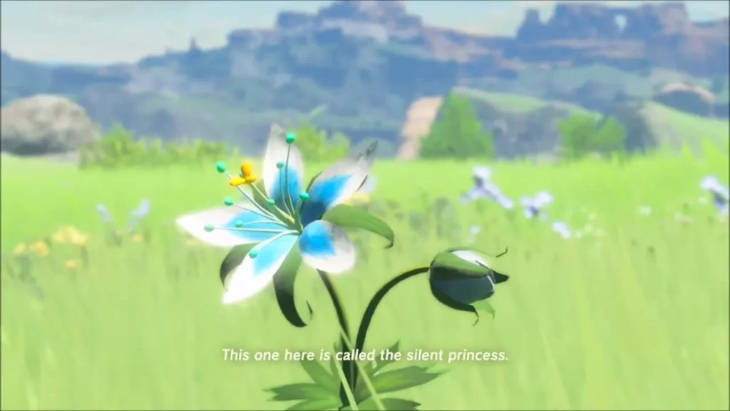 A silent princess flower in the meadow during Zelda's memory A silent princess flower in the meadow during Zelda's memory