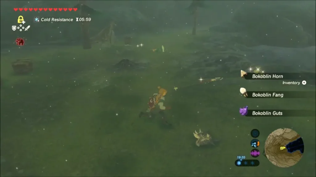 Link in the forest camp after defeating Bokoblins, with horn, fang and guts drops on the ground Link in the forest camp after defeating Bokoblins, with horn, fang and guts drops on the ground