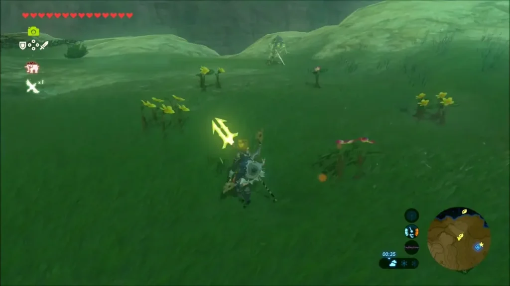 Link following yellow and pink flowers across the meadow Link following yellow and pink flowers across the meadow