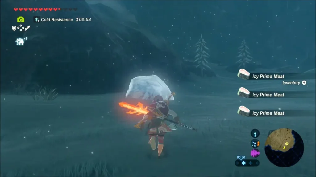 Link with a flame sword and Icy Prime Meat pickups beside shattered ice Link with a flame sword and Icy Prime Meat pickups beside shattered ice