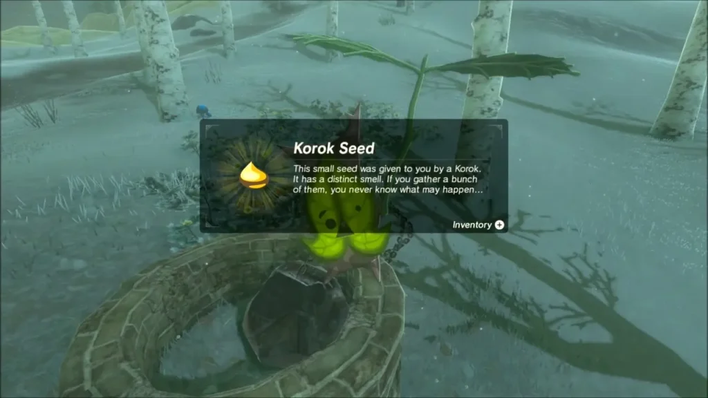 Korok Seed item box over the Korok at the stone ring Korok Seed item box over the Korok at the stone ring