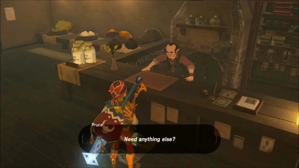 Link at the shop counter talking to the shopkeeper Link at the shop counter talking to the shopkeeper