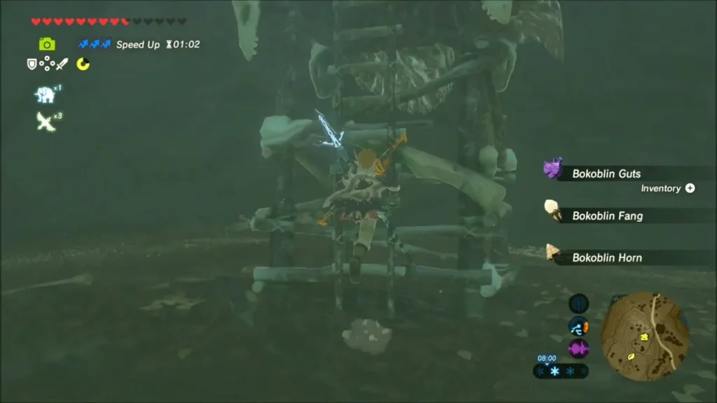 Link at the bokoblin watchtower collecting Guts, Fang and Horn Link at the bokoblin watchtower collecting Guts, Fang and Horn