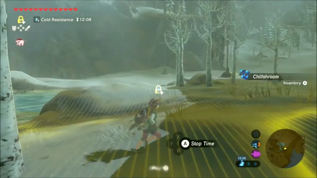 Link picking up a Chillshroom beside the snowy bank near the spring Link picking up a Chillshroom beside the snowy bank near the spring