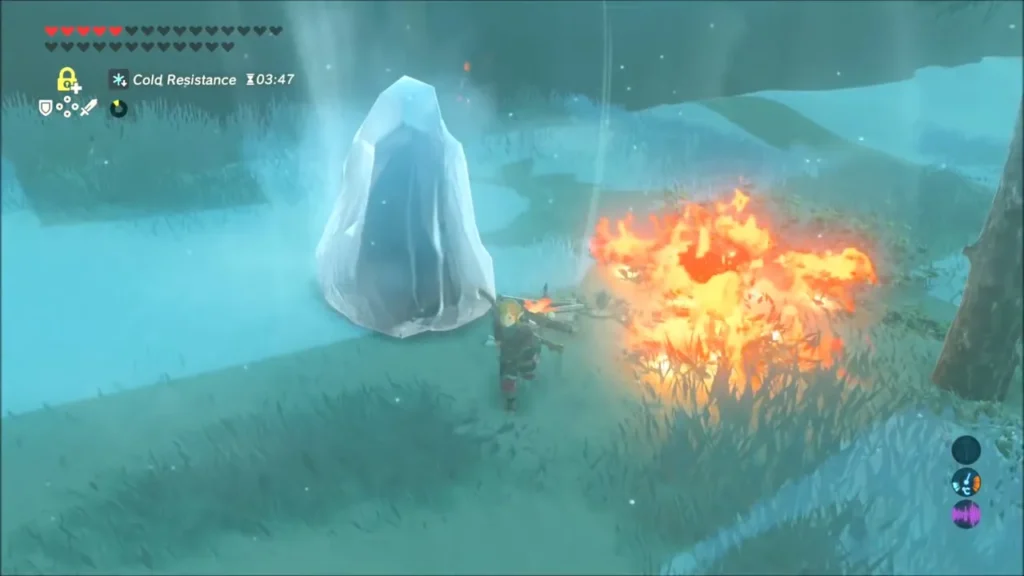 Link setting grass on fire beside an ice block that hides a chest Link setting grass on fire beside an ice block that hides a chest