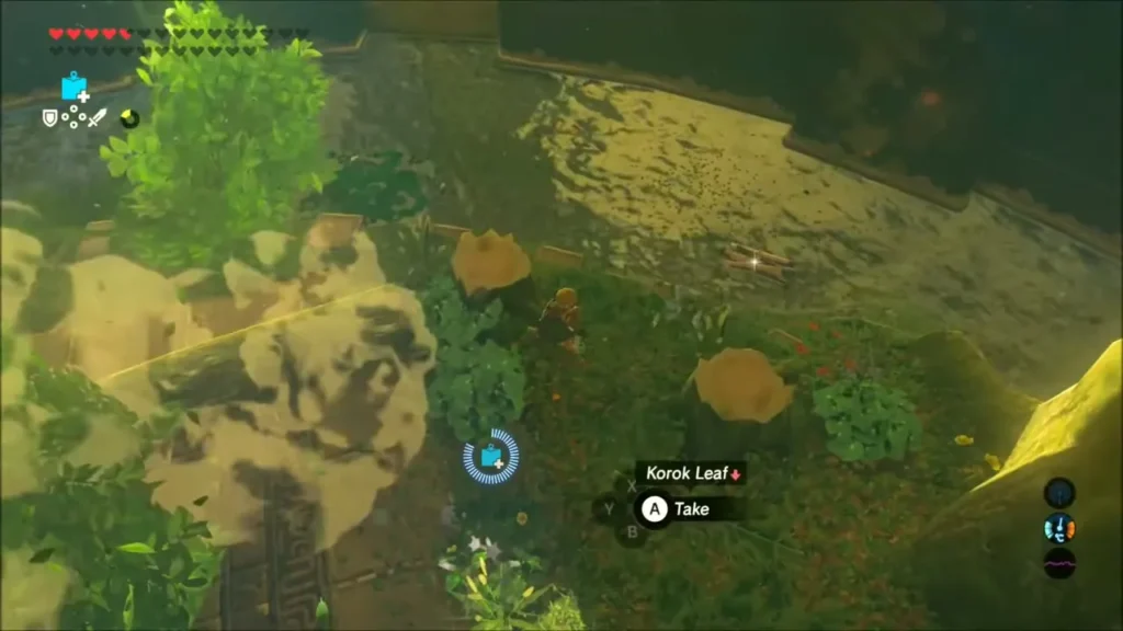 Link at a Korok Leaf lying near tree stumps Link at a Korok Leaf lying near tree stumps