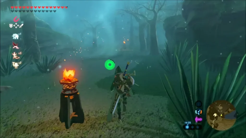 Link beside a lit torch in the foggy Lost Woods Link beside a lit torch in the foggy Lost Woods