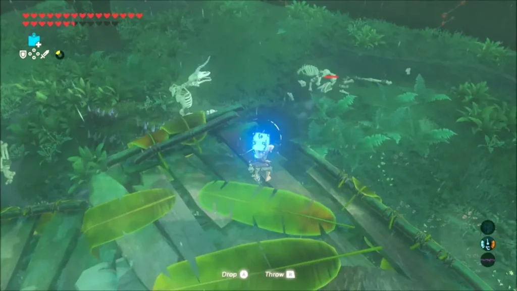 Link using Magnesis on a wooden platform with skeleton enemies nearby Link using Magnesis on a wooden platform with skeleton enemies nearby