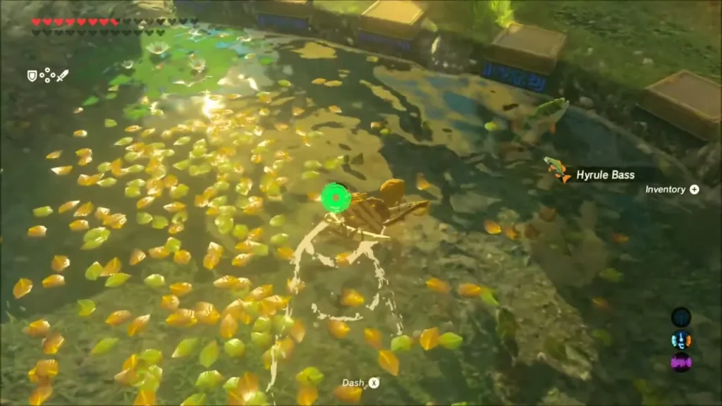 Link swimming in the rest area pond next to a Hyrule Bass Link swimming in the rest area pond next to a Hyrule Bass