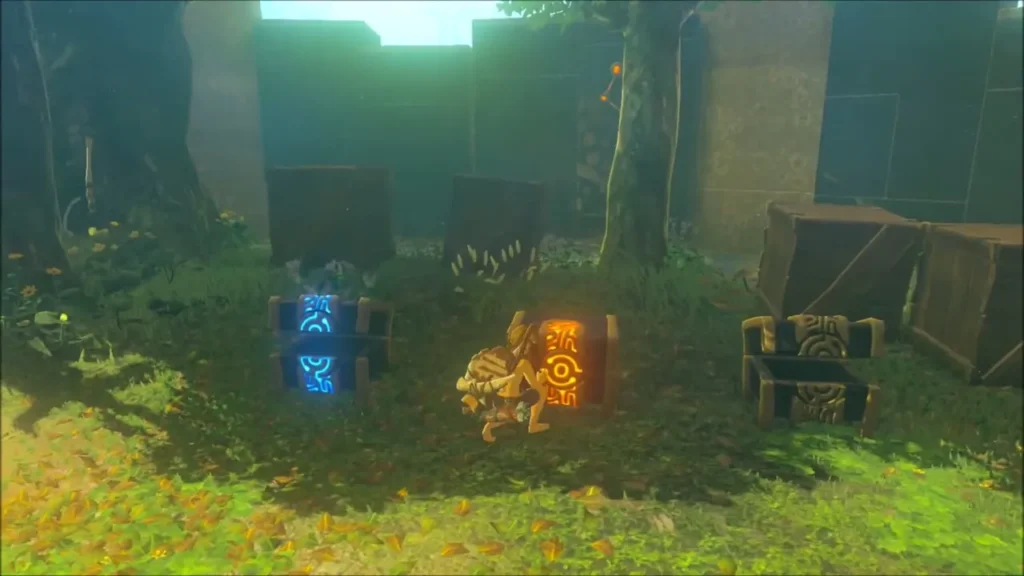 Chests lined up in the grassy rest area of the trial Chests lined up in the grassy rest area of the trial