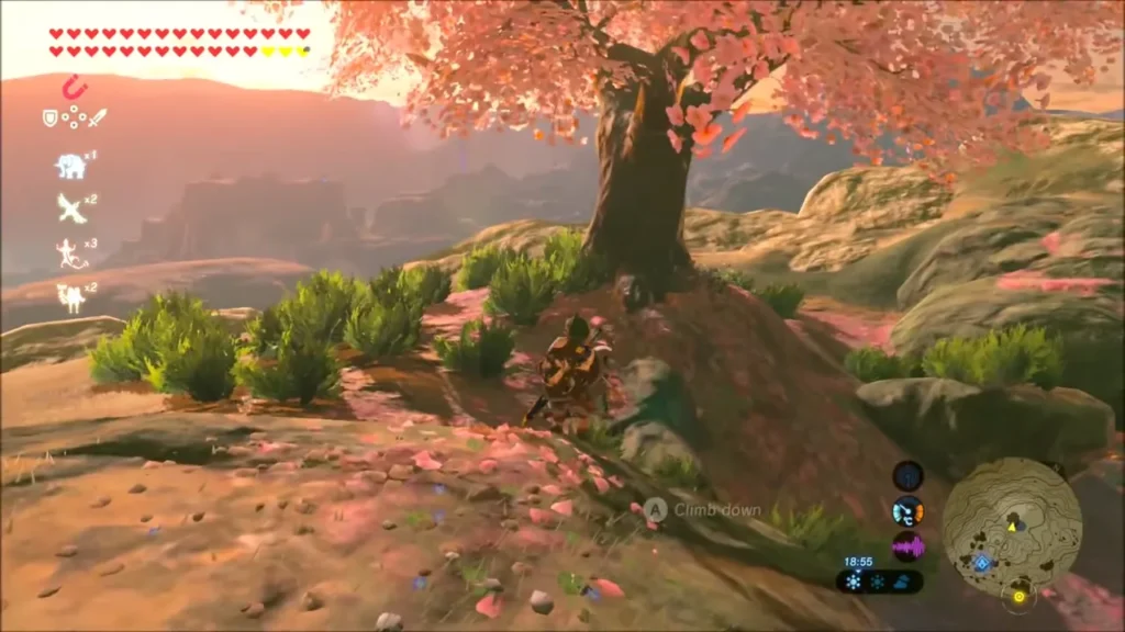 Lone cherry tree on a rise with pink petals covering the ground on Satori Mountain Lone cherry tree on a rise with pink petals covering the ground on Satori Mountain