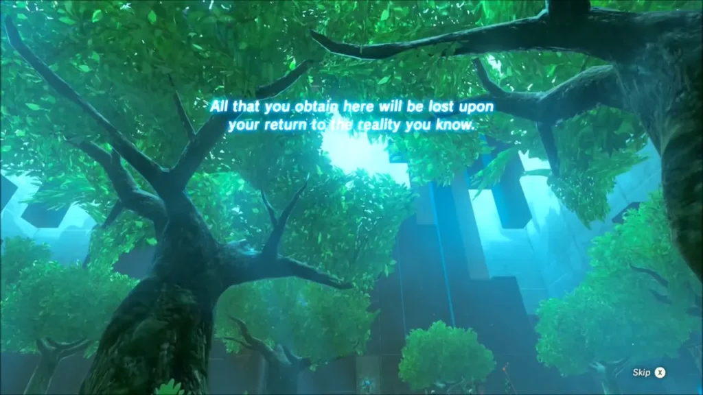 Trial intro text warning that all gained here is lost on leaving, under the illusory forest canopy Trial intro text warning that all gained here is lost on leaving, under the illusory forest canopy