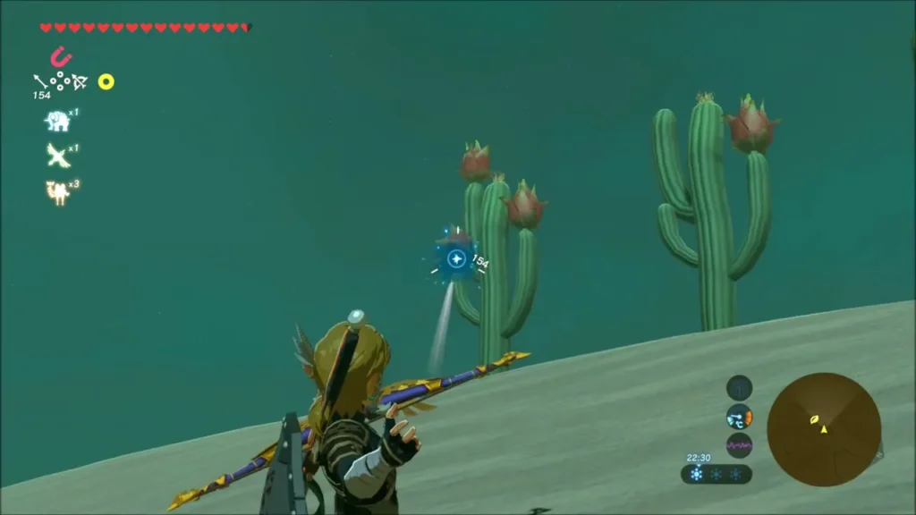 Link aiming a bow at the glinting cactus in the dunes Link aiming a bow at the glinting cactus in the dunes