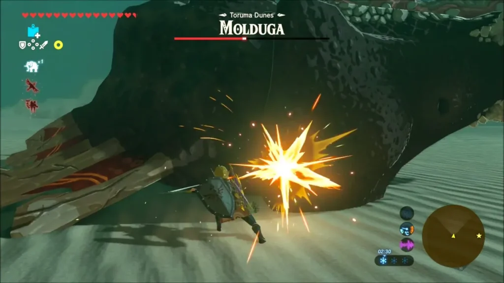 Link striking the stunned Molduga after the bomb blast Link striking the stunned Molduga after the bomb blast