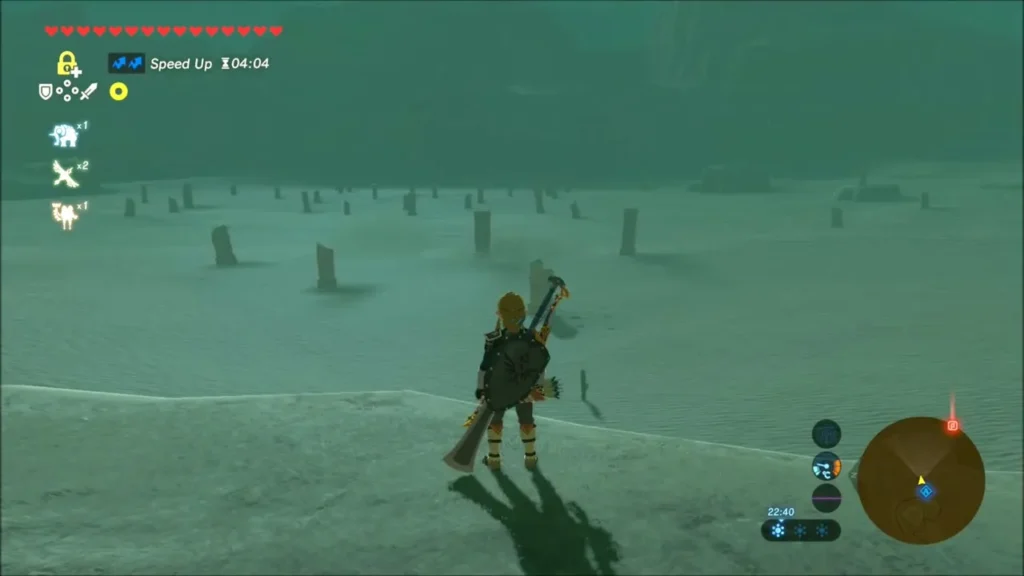 Link looking over flat sand dotted with broken stone pillars in the East Barrens Link looking over flat sand dotted with broken stone pillars in the East Barrens