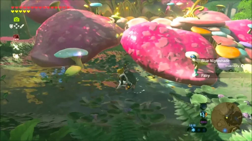 Link gathering Blue Nightshade and a Fairy by giant mushrooms Link gathering Blue Nightshade and a Fairy by giant mushrooms