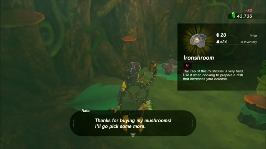 Ironshroom bought from a mushroom seller in the forest Ironshroom bought from a mushroom seller in the forest