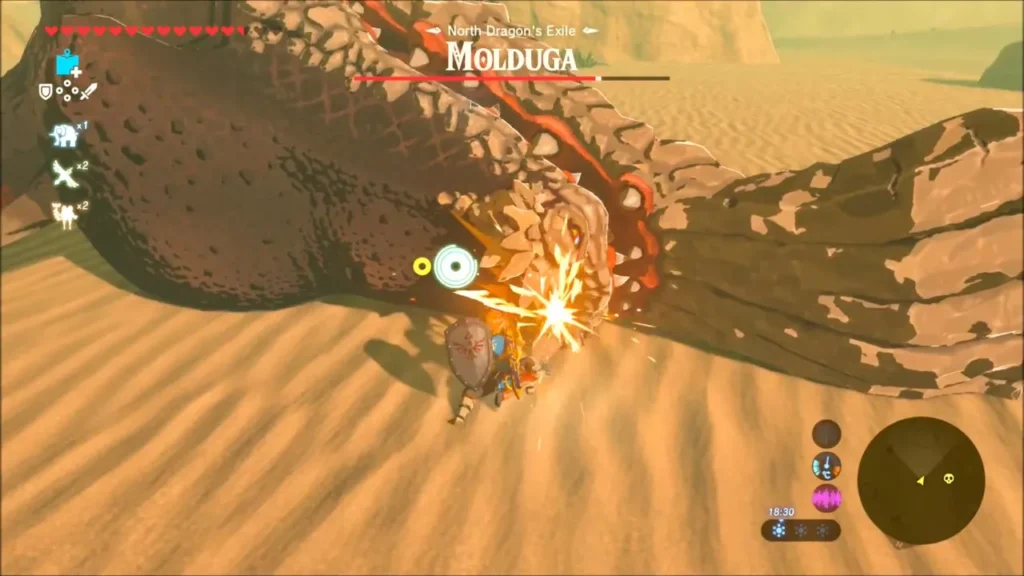 Link striking the stunned Molduga lying on the sand Link striking the stunned Molduga lying on the sand