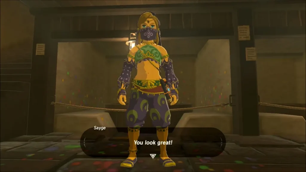 Link in a Gerudo outfit dyed purple as Sayge approves Link in a Gerudo outfit dyed purple as Sayge approves