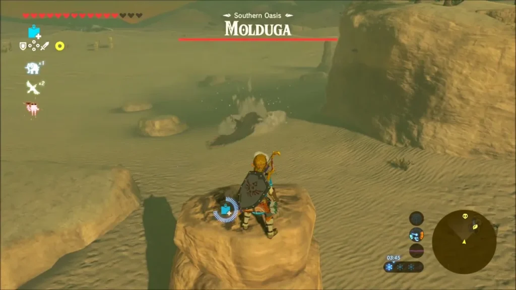 Link on a sandstone pillar with a bomb under the Southern Oasis Molduga health bar Link on a sandstone pillar with a bomb under the Southern Oasis Molduga health bar