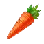 Carrot