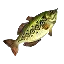 Hyrule Bass