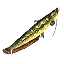Ordon Catfish