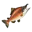 Reekfish