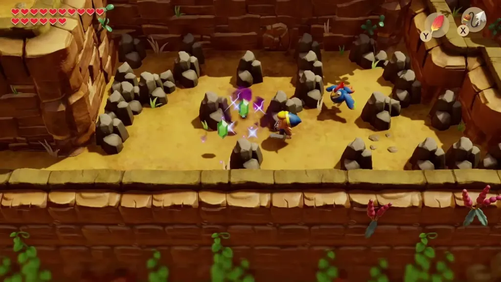 Link among the stones of the rocky field