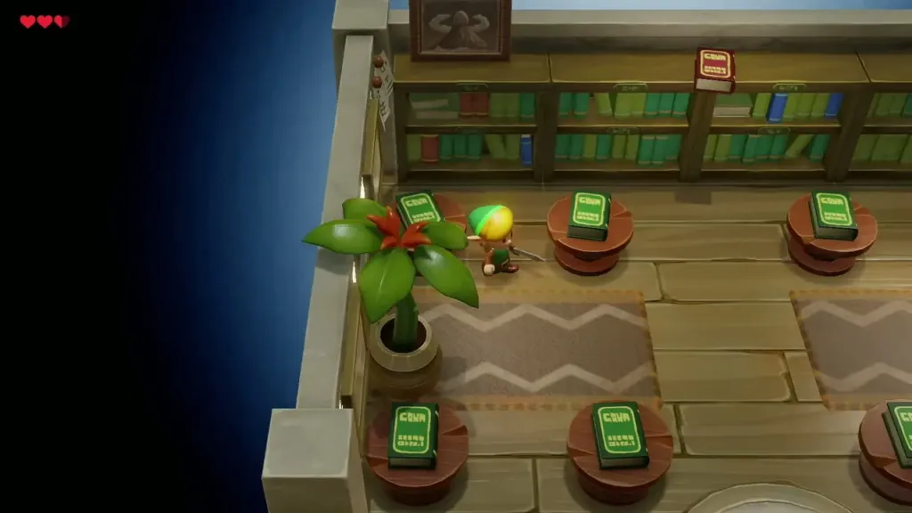 Link browsing the Mabe Village library Link browsing the Mabe Village library