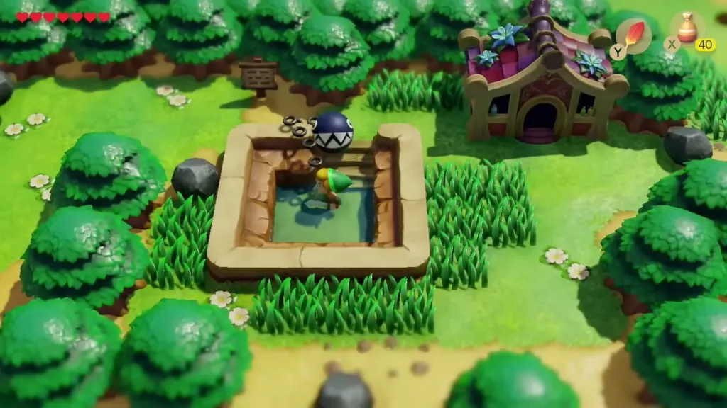 Link standing in the small pond beside the Health Spa Link standing in the small pond beside the Health Spa