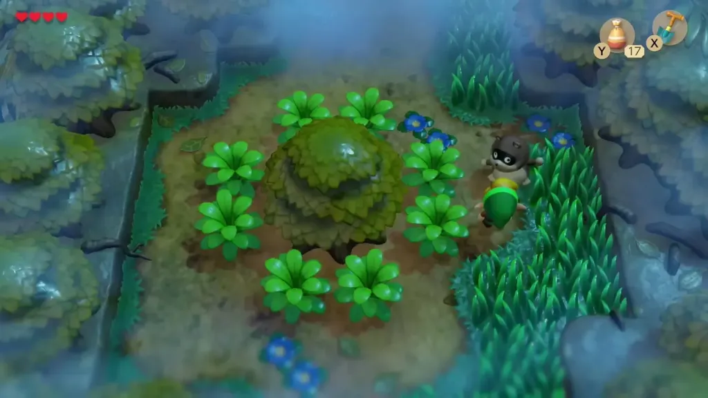 The Raccoon standing beside a bush in the forest clearing The Raccoon standing beside a bush in the forest clearing