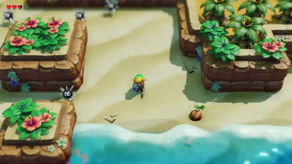 Link walking along the beach past a Sea Urchin with the Sword in hand Link walking along the beach past a Sea Urchin with the Sword in hand