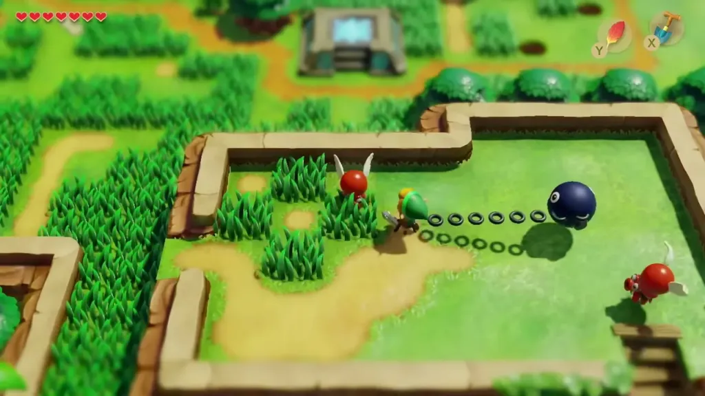 Link on the grassy hill beside the bush patch